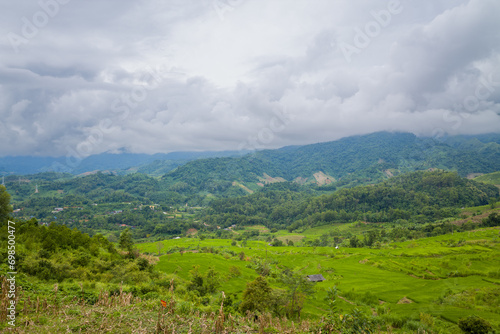 The green rice fields in the green mountains, Asia, Vietnam, Tonkin, Dien Bien Phu, in summer, on a cloudy day.