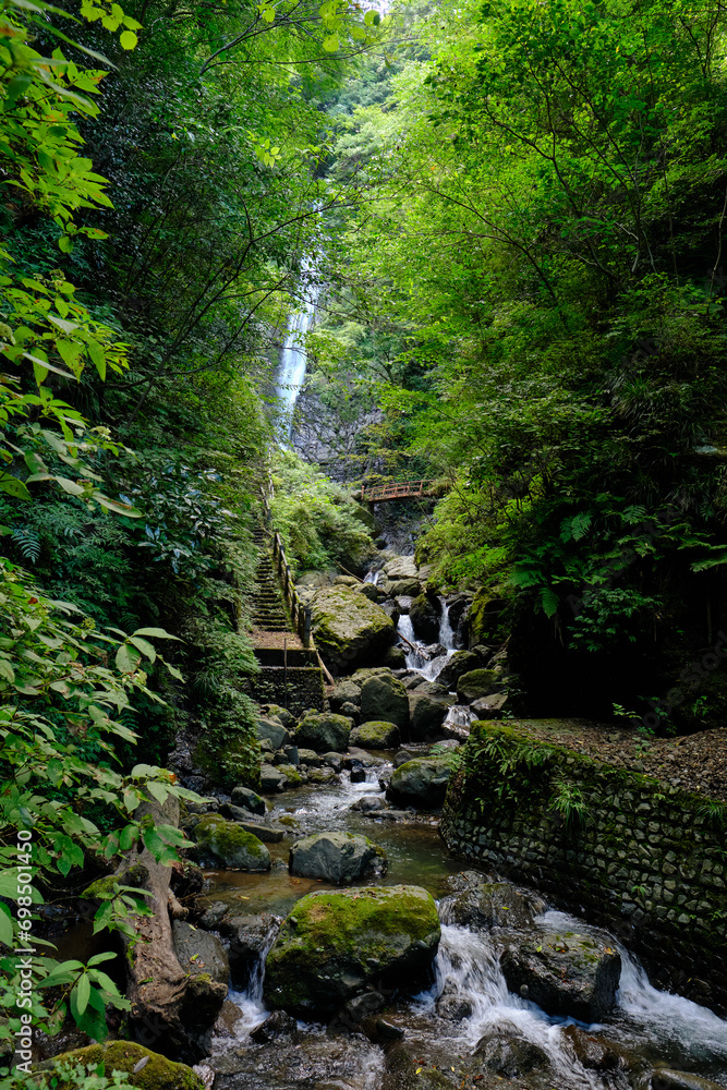 Naklejka premium Wooded trails to Shasui Falls, a 3-tier waterfall in Yamakita, Kanagawa, Japan.