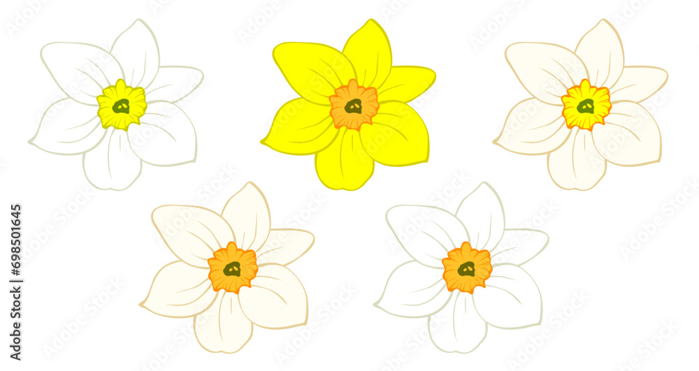 Daffodil flower bud, narcissus blooming head isolated on white. Hand drawn sketch of yellow and orange colors. Vector picture for Easter illustration, spring or summer colorful floral design, print. Daffodil flower bud, narcissus blooming head isolated on white. Hand drawn sketch of yellow and orange colors. Vector picture for Easter illustration, spring or summer colorful floral design, print.