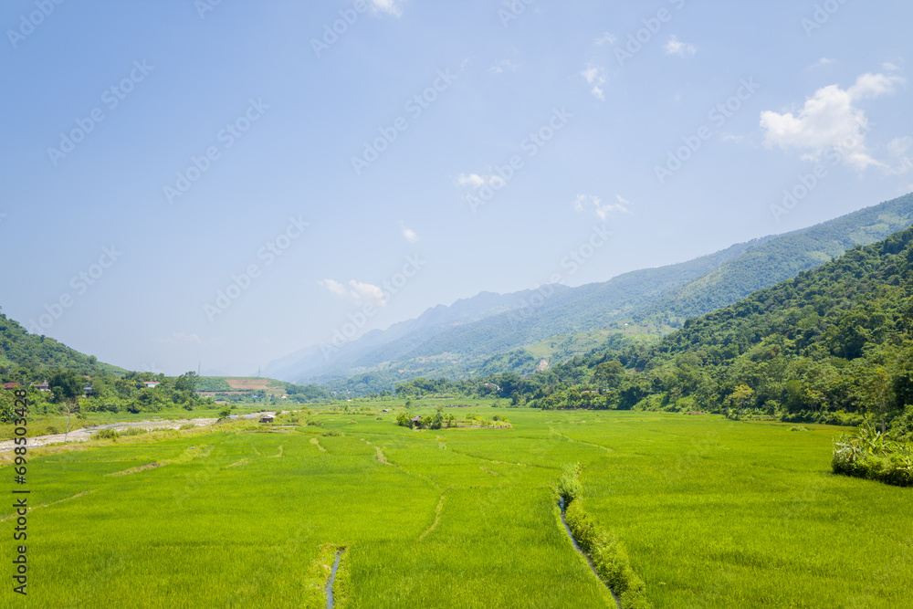 Rice fields in the middle of forests and green mountains, in Asia, Vietnam, Tonkin, between Dien Bien Phu and Lai Chau, in summer, on a sunny day.