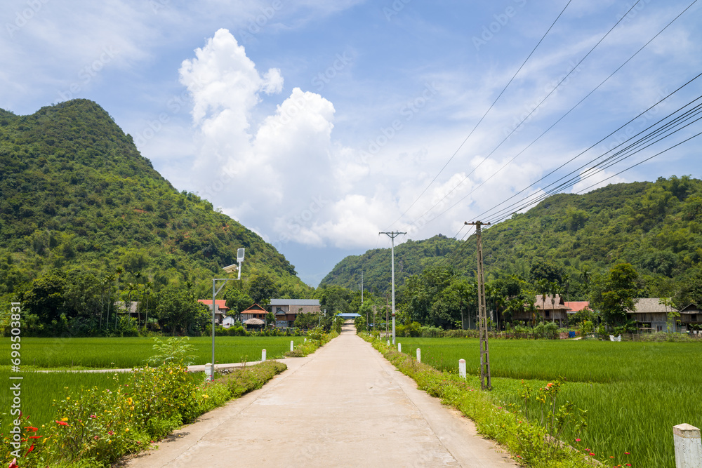 A path in the middle of the green rice fields in the mountains, in Asia, in Vietnam, in Tonkin, towards Hanoi, in Mai Chau, in summer, on a sunny day.