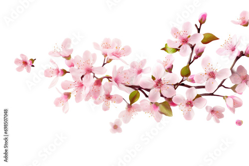 A Spring Fling Isolated On Transparent Background photo