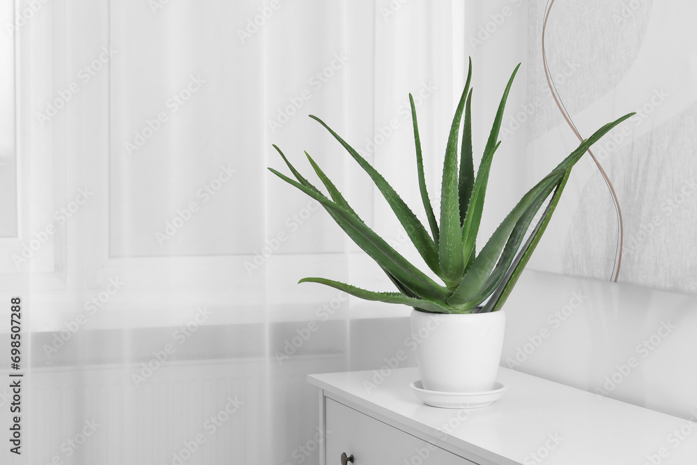 Green aloe vera in pot on chest of drawers indoors, space for text - obrazy, fototapety, plakaty 