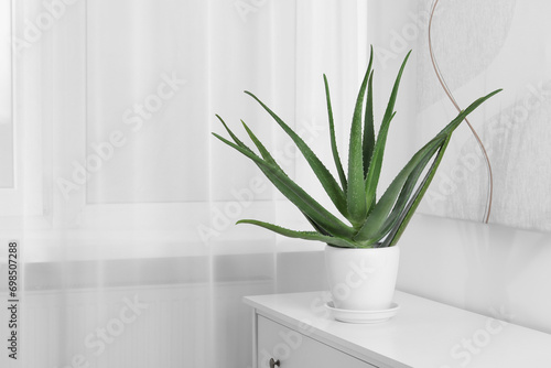 Green aloe vera in pot on chest of drawers indoors, space for text photo