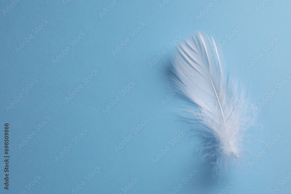 Fluffy white feather on light blue background, top view. Space for text Fluffy white feather on light blue background, top view. Space for text