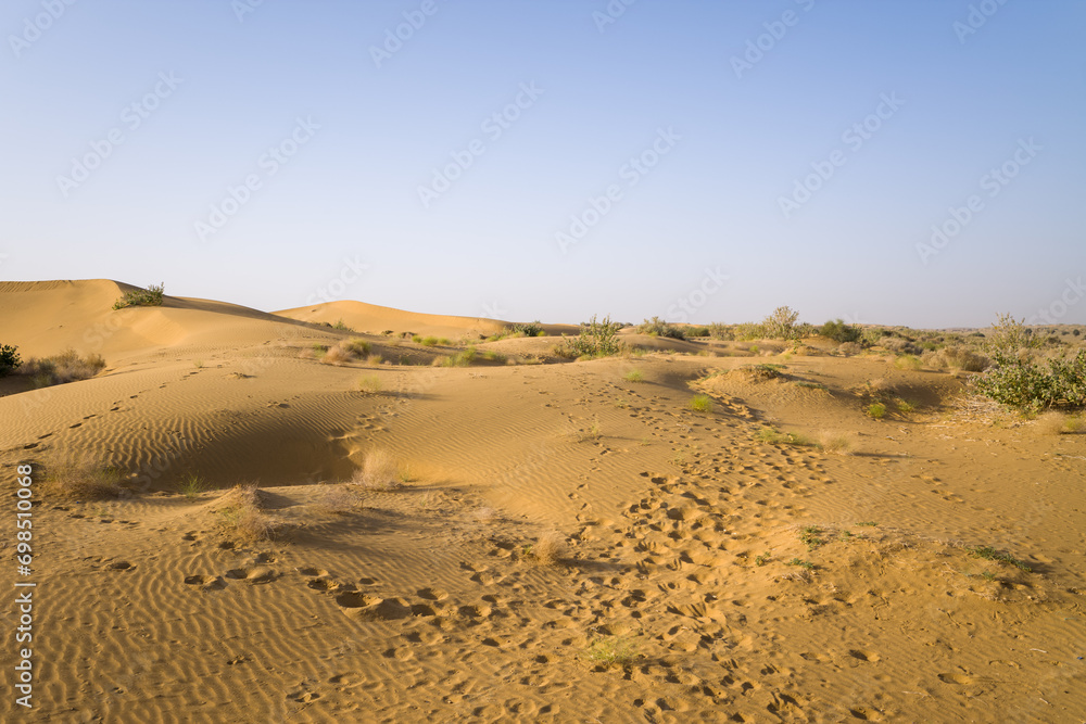 The desert in Asia, India, Rajasthan, Jaisalmer in summer on a sunny day. The desert in Asia, India, Rajasthan, Jaisalmer in summer on a sunny day.