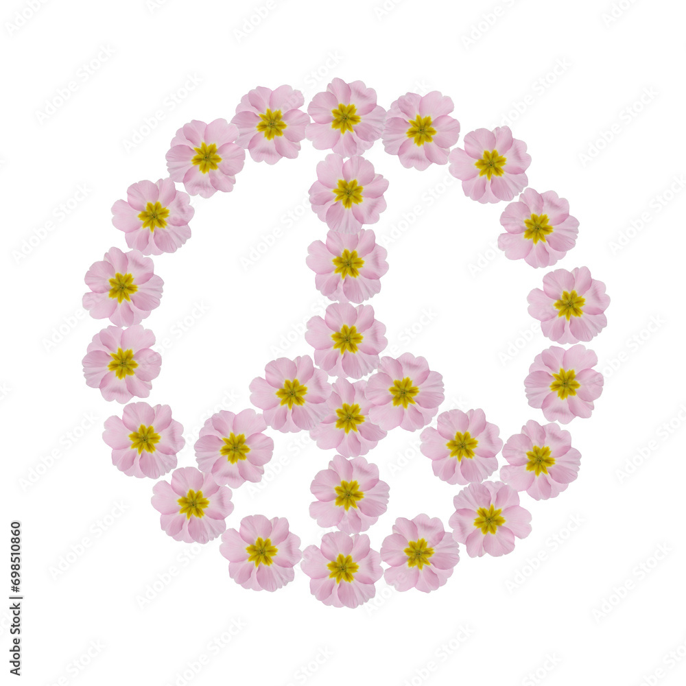 Hippie peace symbol made of pink primula flowers on white background