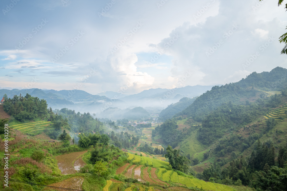 Fototapeta premium The green and yellow rice fields at the foot of the green mountains, in Asia, in Vietnam, in Tonkin, in Bac Ha, towards Lao Cai, in summer, on a cloudy day.