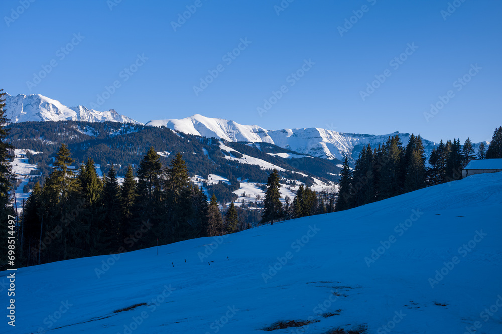Mont Joly hidden by trees in Europe, France, Rhone Alpes, Savoie, Alps, in winter on a sunny day.