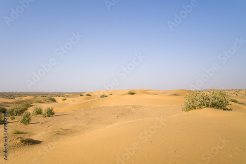 The desert in Asia  India  Rajasthan  Jaisalmer in summer on a sunny day.