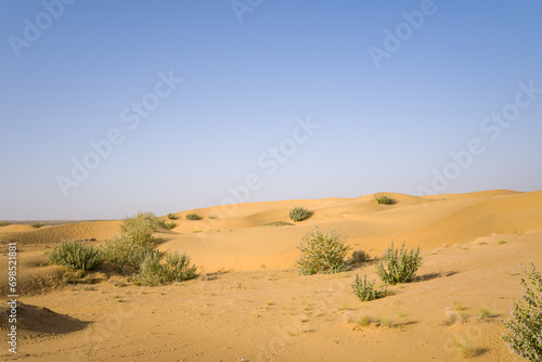 The desert in Asia  India  Rajasthan  Jaisalmer in summer on a sunny day.