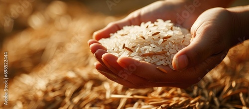 Naked human hand full of rice, scientifically known as Oryza sativa or Oryza glaberrima, commonly consumed as a staple food. photo