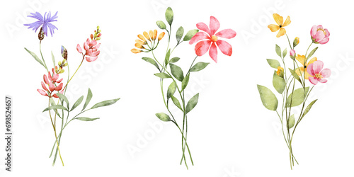 Wild flowers set, watercolor hand painting, digital floral illustration. Bouquets banner border. 
