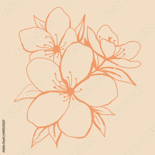 illustration of an exotic flower photo
