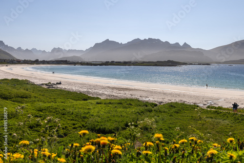 Sunlight bathes Rambergstranda beach at Jusnesvika bay in Lofoten, accentuating the contrast between the verdant meadows and the sparkling azure sea photo