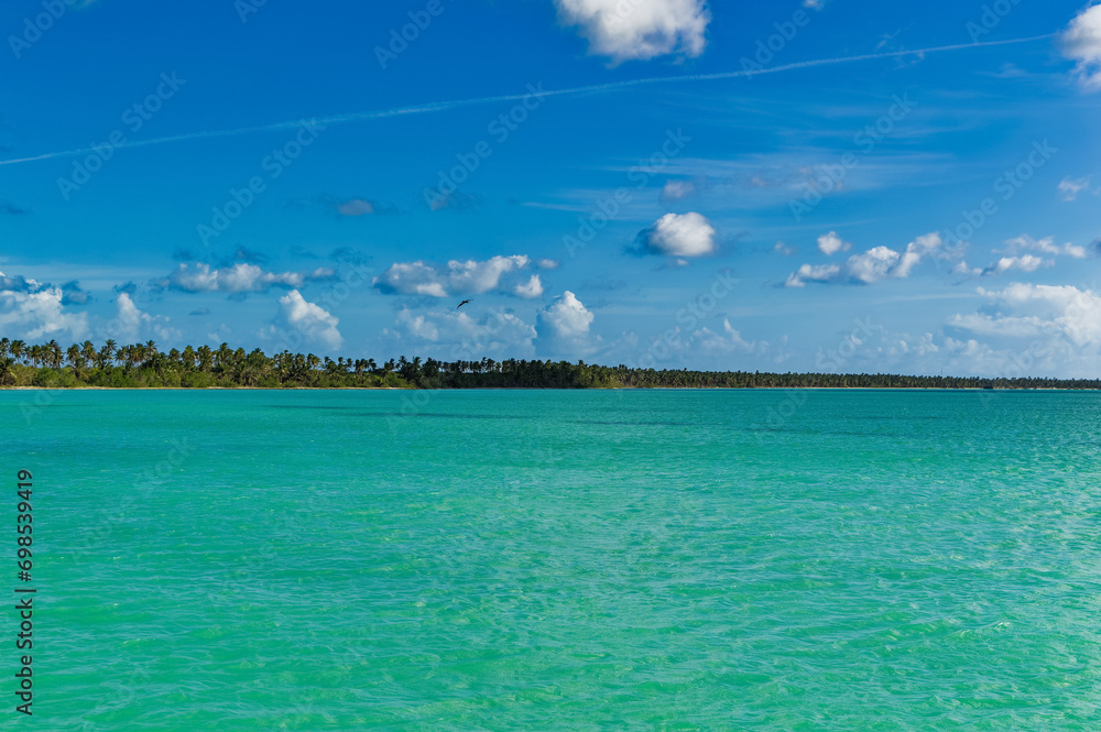 Daily scene of Saona island landscape at Dominican Republic.