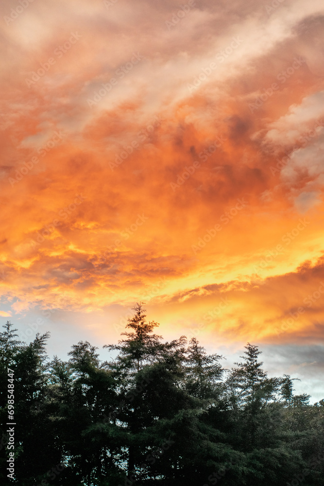 sunset in the sky sunset in the sky