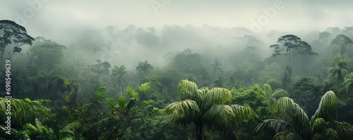 Fotografia view of tropical forest with fog in the morning during the rainy season