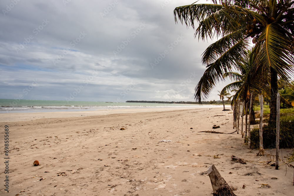 Maceió Beach Caribbean Brazil and Maragogi