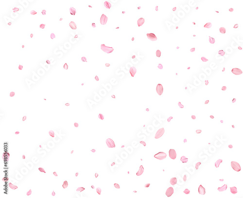 Pink Spring Japanese sakura petals.