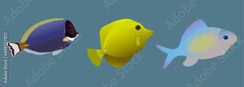 Colorful fish set. Tropical and aquarium fish. Vector illustration.