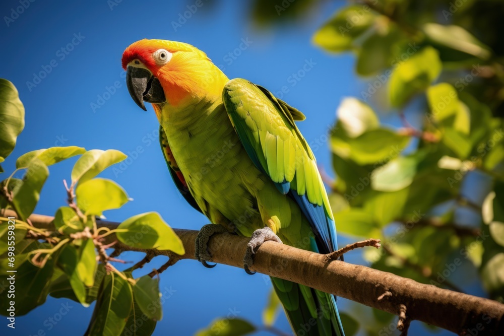 Obraz premium Landscape with beautiful green parrot on a branch, wildlife concept. Generative AI