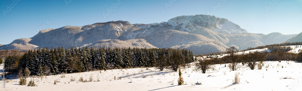 Tranquil winter wilderness panorama.