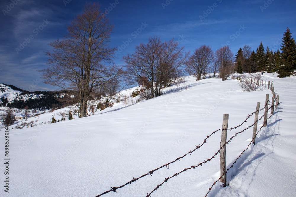 Tranquil winter wilderness panorama.