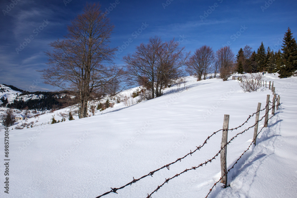 Obraz premium Tranquil winter wilderness panorama.