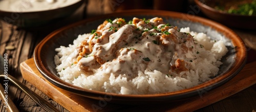 White rice topped with white sauce and pork