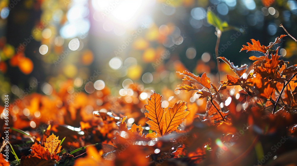 Render crisp autumn morning represented through colorful bokeh, AI Generated