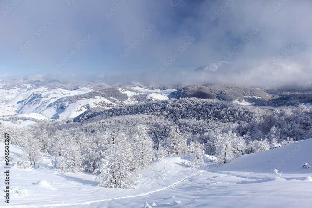 Solitude in snowy mountain serenity.