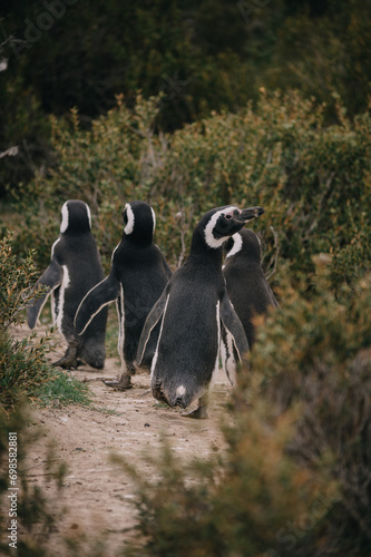 De paseo por Puerto Madryn  Chubut.