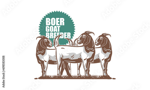 FEMALE BOER GOAT STANDING LOGO, silhouette of great ram walking in farm vector illustrations photo