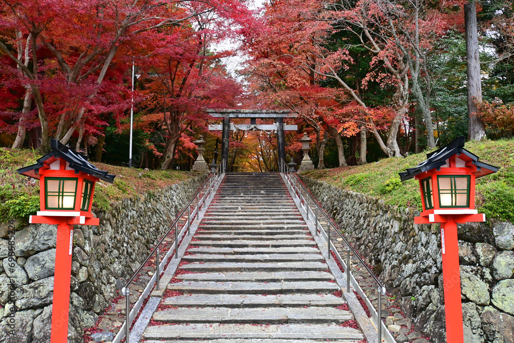 晩秋の京都市大原野神社 参道と二の鳥居