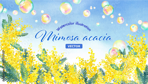 青空を背景にしたミモザとシャボン玉の水彩イラスト。風景。春のイメージ背景。（ベクター。レイアウト変更可能）