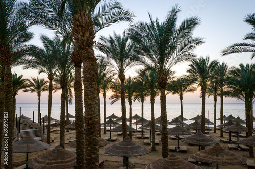 empty beach with palm trees and umbrellas in egypt sharm el sheikh at sunrise