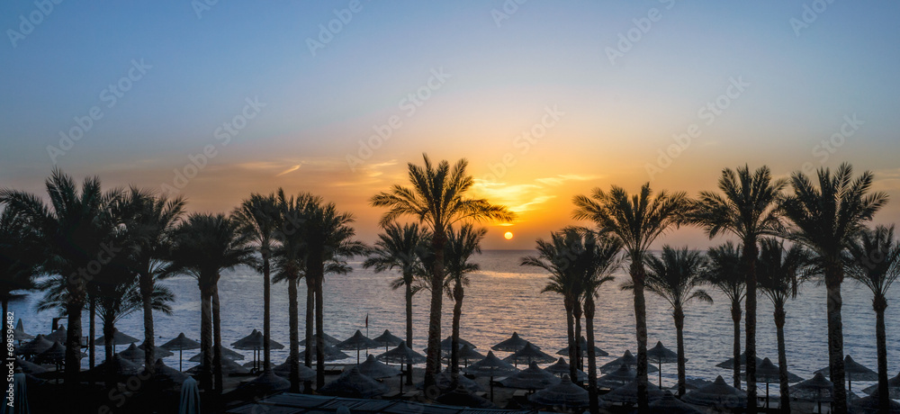 landscape dawn palm trees and a beach with umbrellas in Egypt in Sharm El Sheikh