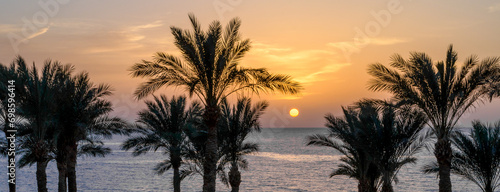 evening sunset landscape on the background of the silhouette of palm trees and the Red Sea with the sky and clouds in Egypt © Sofiia