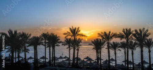 landscape dawn palm trees and a beach with umbrellas in Egypt in Sharm El Sheikh
