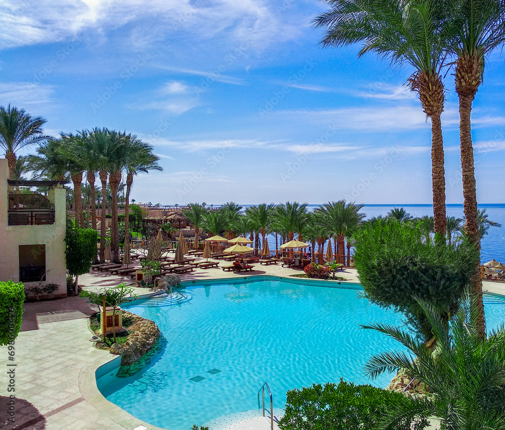 azure water pool and green palm trees in Sharm El Sheikh Egypt