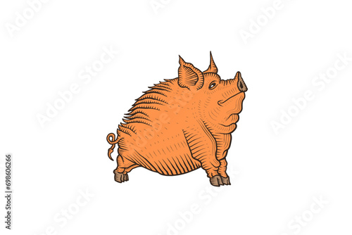 pig engraving
 (ID: 698606266)