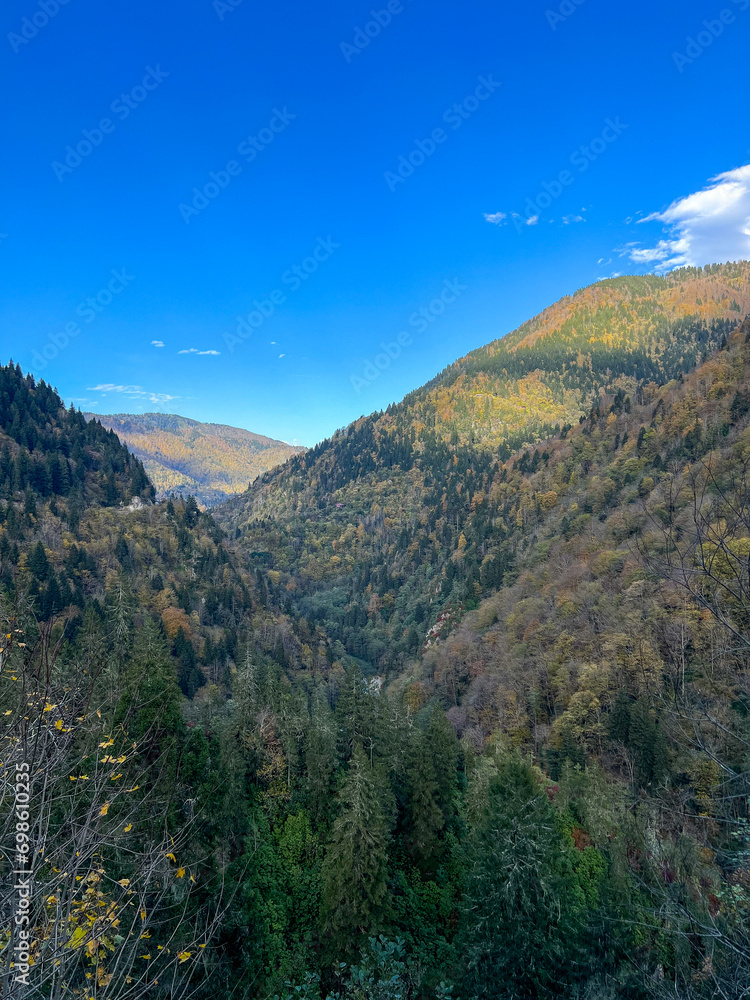 Mountain forest near Mount Uskut