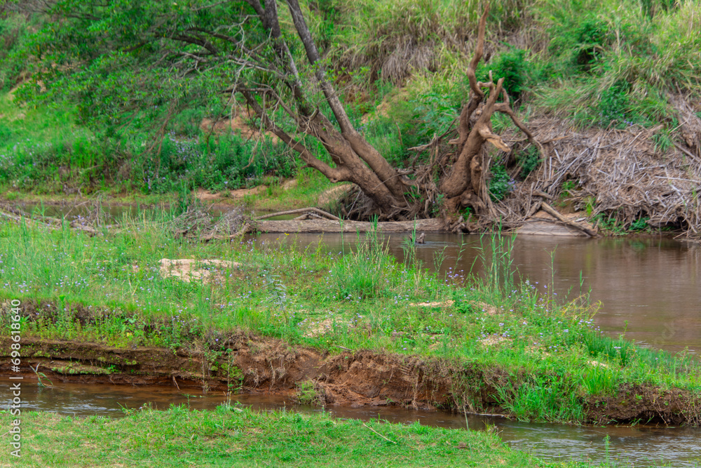 Pretty little river flowing through the savannah in South Africa Pretty little river flowing through the savannah in South Africa