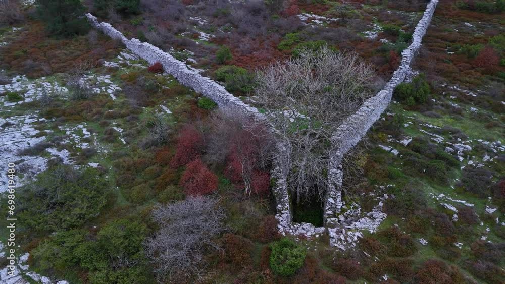 Vidéo Stock Trap to hunt wolves (Canis lupus), called the Lobera de