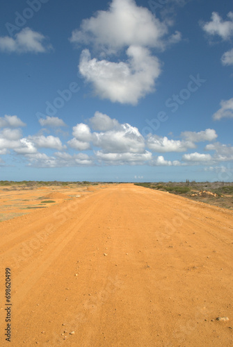 Camino al medano.