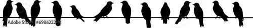 A silhouette of birds Purple Martins on a telephone wire. AI generated illustration photo