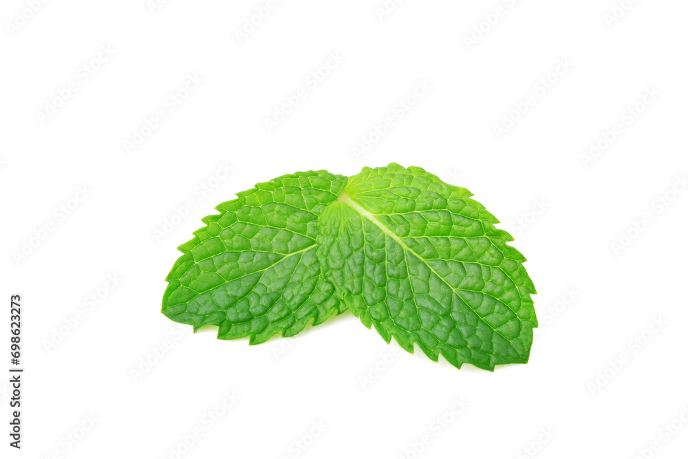 Fresh Mint leaves isolated on white background Fresh Mint leaves isolated on white background