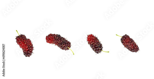 Mulberry fruits with isolated on white background