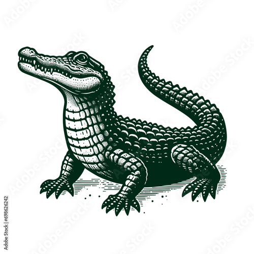 Alligator.  Hand drawn engraving sketch Vector illustration icon © Victoria
